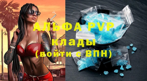 сатива Богданович
