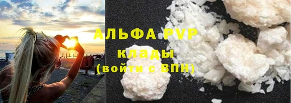 spice Беломорск