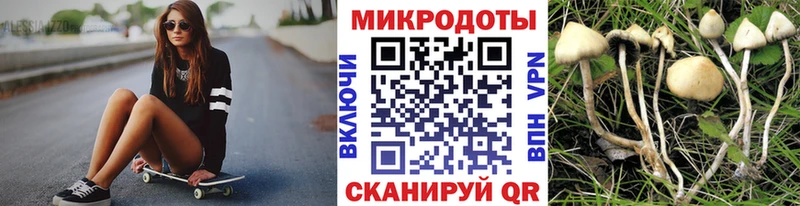 где можно купить   Венёв  Галлюциногенные грибы мухоморы 